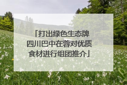打出绿色生态牌 四川巴中在蓉对优质食材进行组团推介