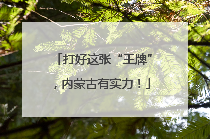打好这张“王牌”，内蒙古有实力！