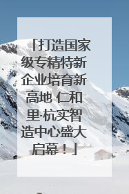 打造国家级专精特新企业培育新高地 仁和里·杭实智造中心盛大启幕！