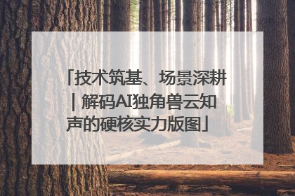 技术筑基、场景深耕｜解码AI独角兽云知声的硬核实力版图