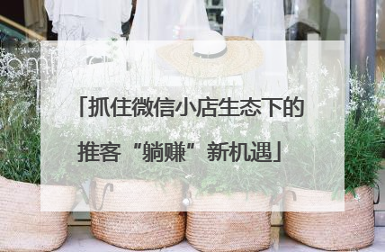 抓住微信小店生态下的推客“躺赚”新机遇