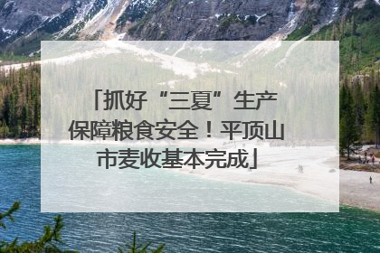 抓好“三夏”生产 保障粮食安全！平顶山市麦收基本完成