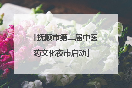 抚顺市第二届中医药文化夜市启动