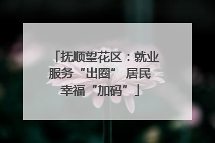 抚顺望花区：就业服务“出圈” 居民幸福“加码”