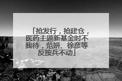 抢发行，抢建仓，医药主题新基金时不我待，范妍、徐彦等反按兵不动