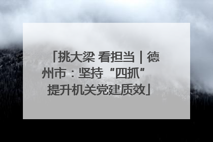 挑大梁 看担当｜德州市：坚持“四抓” 提升机关党建质效
