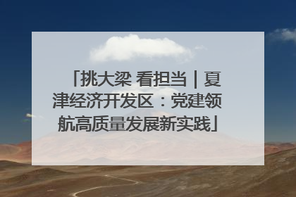 挑大梁 看担当｜夏津经济开发区：党建领航高质量发展新实践