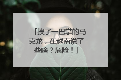 挨了一巴掌的马克龙，在越南说了些啥？危险！