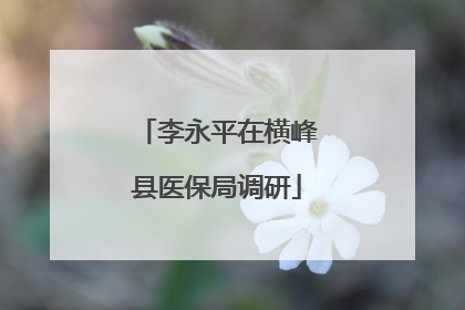 李永平在横峰县医保局调研