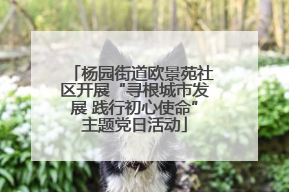 杨园街道欧景苑社区开展“寻根城市发展 践行初心使命”主题党日活动