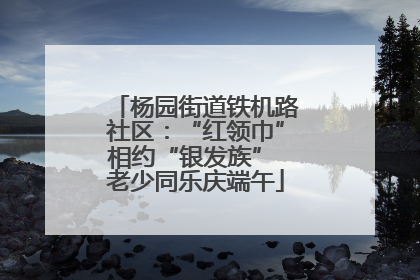 杨园街道铁机路社区：“红领巾”相约“银发族” 老少同乐庆端午