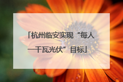 杭州临安实现“每人一千瓦光伏”目标