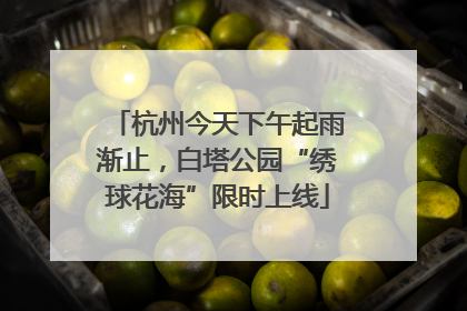 杭州今天下午起雨渐止，白塔公园“绣球花海”限时上线