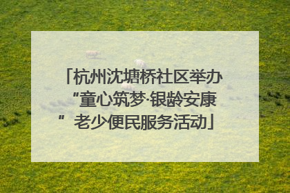 杭州沈塘桥社区举办“童心筑梦·银龄安康”老少便民服务活动