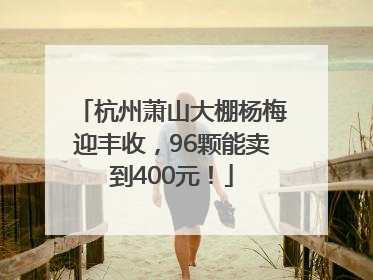 杭州萧山大棚杨梅迎丰收，96颗能卖到400元！