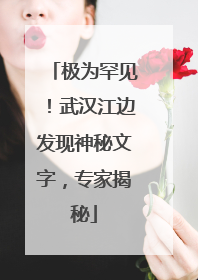 极为罕见！武汉江边发现神秘文字，专家揭秘