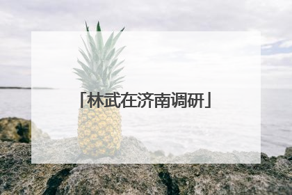 林武在济南调研