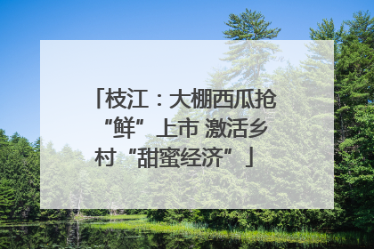 枝江：大棚西瓜抢“鲜”上市 激活乡村“甜蜜经济”