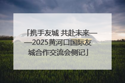 携手友城 共赴未来——2025黄河口国际友城合作交流会侧记