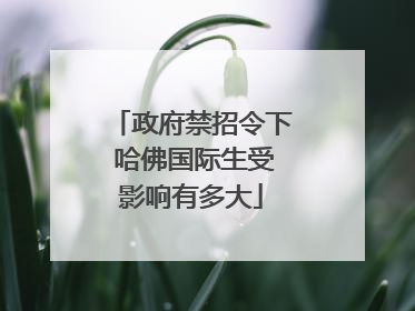 政府禁招令下 哈佛国际生受影响有多大