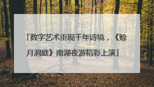数字艺术重现千年诗境，《赊月洞庭》南湖夜游精彩上演