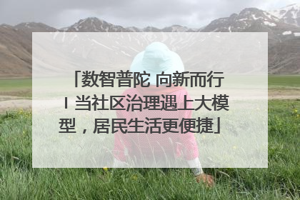 数智普陀 向新而行〡当社区治理遇上大模型，居民生活更便捷