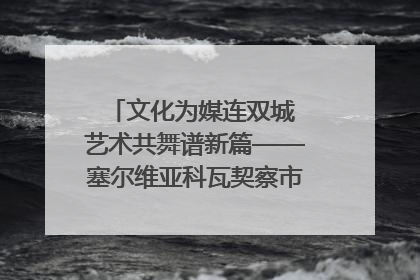 文化为媒连双城 艺术共舞谱新篇——塞尔维亚科瓦契察市代表团访问日照