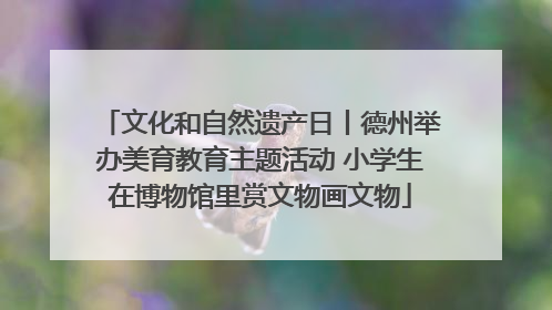 文化和自然遗产日丨德州举办美育教育主题活动 小学生在博物馆里赏文物画文物
