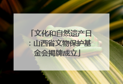 文化和自然遗产日：山西省文物保护基金会揭牌成立