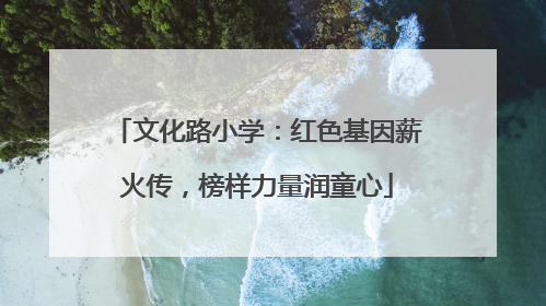 文化路小学：红色基因薪火传，榜样力量润童心