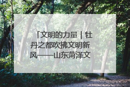 文明的力量｜牡丹之都吹拂文明新风——山东菏泽文明创建一线见闻