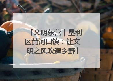 文明东营｜垦利区黄河口镇：让文明之风吹遍乡野