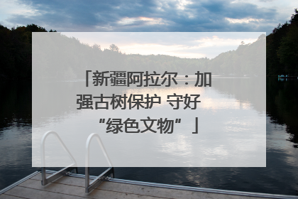 新疆阿拉尔：加强古树保护 守好“绿色文物”