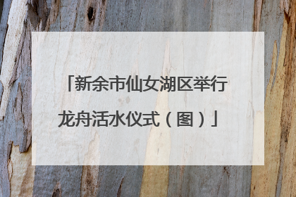 新余市仙女湖区举行龙舟活水仪式（图）