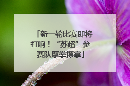 新一轮比赛即将打响！“苏超”参赛队摩拳擦掌