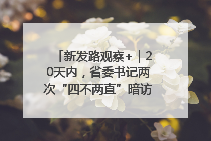 新发路观察+｜20天内，省委书记两次“四不两直”暗访，有何深意？