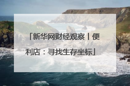新华网财经观察丨便利店：寻找生存坐标