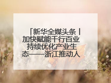 新华全媒头条丨加快赋能千行百业 持续优化产业生态——浙江推动人工智能健康有序发展观察