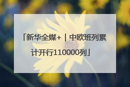 新华全媒+｜中欧班列累计开行110000列