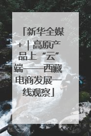 新华全媒+｜高原产品上“云”端——西藏电商发展一线观察