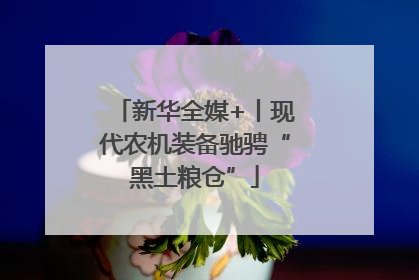 新华全媒+丨现代农机装备驰骋“黑土粮仓”