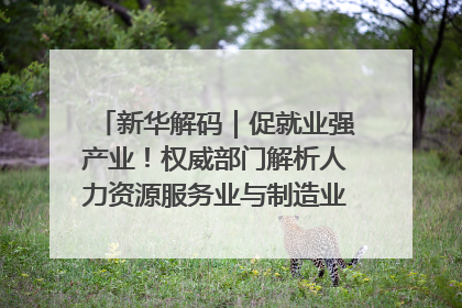 新华解码｜促就业强产业！权威部门解析人力资源服务业与制造业融合发展试点