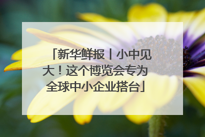 新华鲜报丨小中见大！这个博览会专为全球中小企业搭台