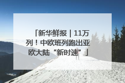 新华鲜报｜11万列！中欧班列跑出亚欧大陆“新时速”