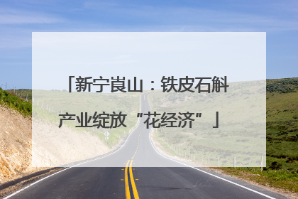 新宁崀山：铁皮石斛产业绽放“花经济”