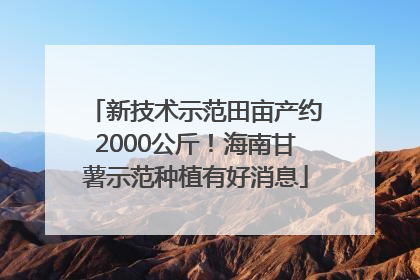 新技术示范田亩产约2000公斤！海南甘薯示范种植有好消息