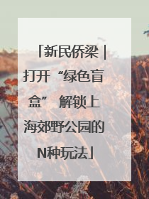 新民侨梁｜打开“绿色盲盒” 解锁上海郊野公园的N种玩法