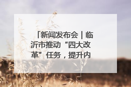 新闻发布会｜临沂市推动“四大改革”任务，提升内部审计监督效能