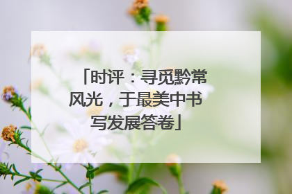 时评：寻觅黔常风光，于最美中书写发展答卷
