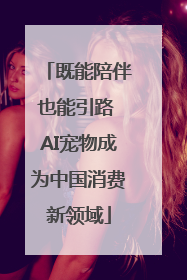 既能陪伴也能引路 AI宠物成为中国消费新领域